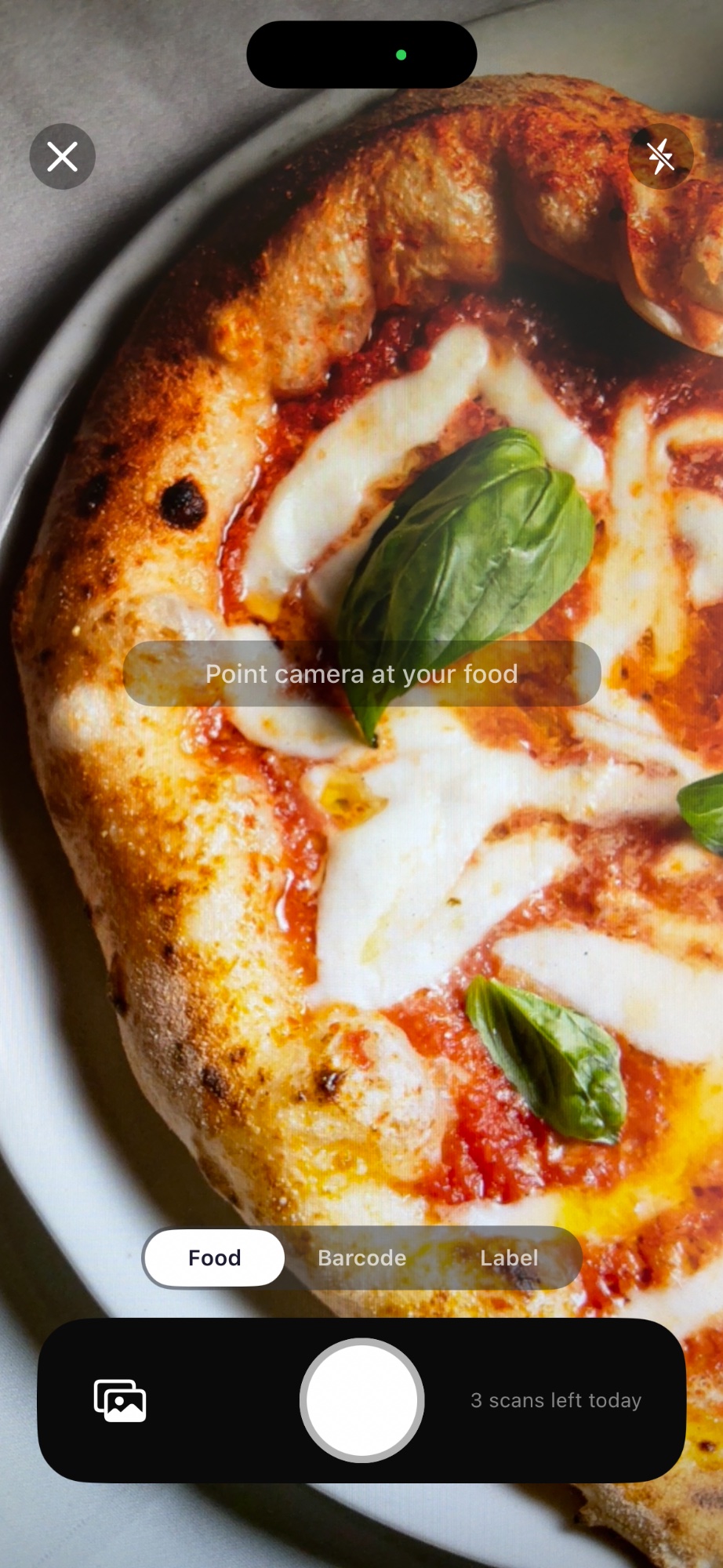 CalGram AI food photo scanning